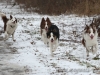 cIMG_0674
