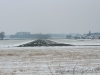 cIMG_0693