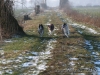 cIMG_0950