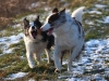 cIMG_0956