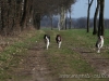 cIMG_1451