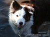 cIMG_1537