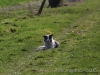 cIMG_1541