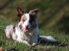 cIMG_1576