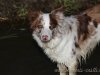 cIMG_1606