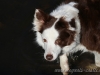 cIMG_1610