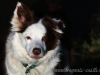 cIMG_1613