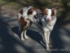 cIMG_1635