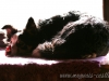 cIMG_1638