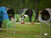 comp_DSC_0286.jpg