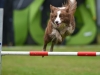 comp_DSC_0404_bearbeitet-1.jpg