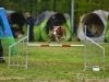 comp_DSC_0405.jpg