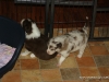 cimg_4377