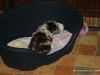 cimg_4380