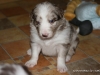 cimg_4398
