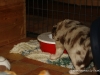 cimg_4403
