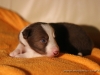 cIMG_1143