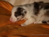 cIMG_1144