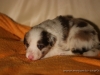 cIMG_1146