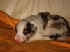 cIMG_1147