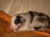 cIMG_1154