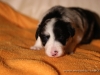 cIMG_1184