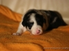 cIMG_1192