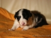 cIMG_1198