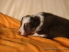cIMG_1238