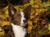 cimg_2319