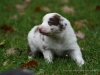 cIMG_1318
