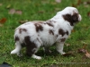 cIMG_1343
