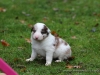 cIMG_1395