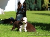 cIMG_3782