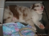 comp_dsc02857