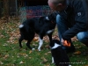 comp_dsc02876