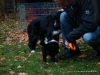 comp_dsc02877
