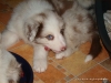 comp_dsc02882