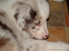 comp_dsc02886
