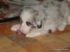comp_dsc02887