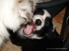 comp_dsc02889
