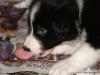 comp_dsc02891