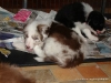 comp_dsc02896