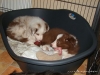 comp_dsc02900