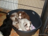 comp_dsc02902