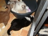 comp_dsc02903