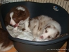 comp_dsc02916