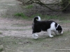 cimg_1511
