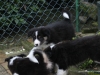 cimg_1523