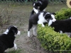 cimg_1544